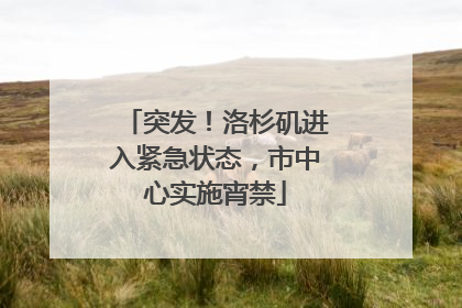 突发！洛杉矶进入紧急状态，市中心实施宵禁