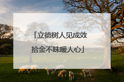 立德树人见成效 拾金不昧暖人心