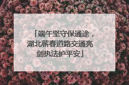端午坚守保通途，湖北蕲春道路交通亮剑执法护平安