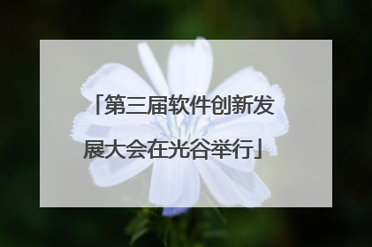 第三届软件创新发展大会在光谷举行