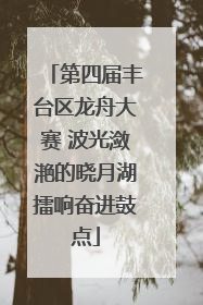第四届丰台区龙舟大赛 波光潋滟的晓月湖擂响奋进鼓点