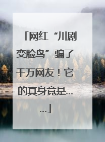 网红“川剧变脸鸟”骗了千万网友！它的真身竟是……