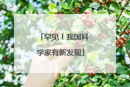 罕见！我国科学家有新发现