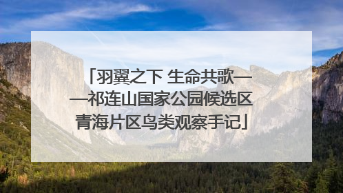 羽翼之下 生命共歌——祁连山国家公园候选区青海片区鸟类观察手记