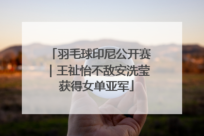 羽毛球印尼公开赛｜王祉怡不敌安洗莹 获得女单亚军