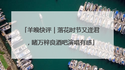 羊晚快评｜落花时节又逢君，睹万梓良酒吧演唱有感