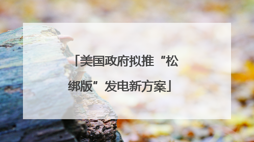 美国政府拟推“松绑版”发电新方案