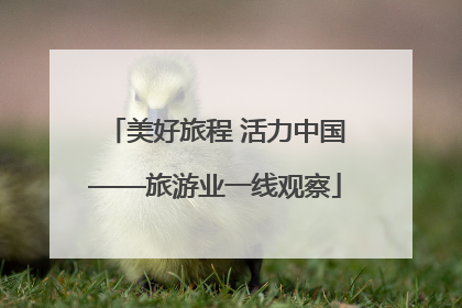 美好旅程 活力中国——旅游业一线观察