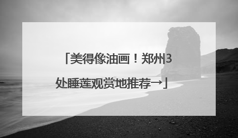 美得像油画！郑州3处睡莲观赏地推荐→