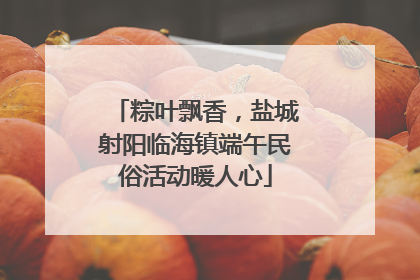 粽叶飘香，盐城射阳临海镇端午民俗活动暖人心