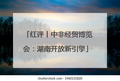 红评丨中非经贸博览会：湖南开放新引擎