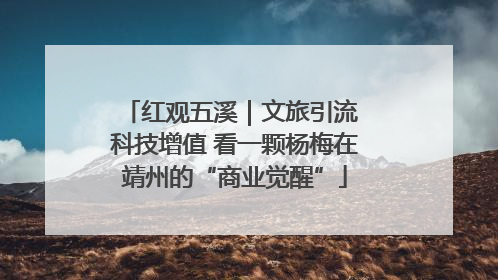 红观五溪｜文旅引流 科技增值 看一颗杨梅在靖州的“商业觉醒”
