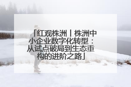 红观株洲丨株洲中小企业数字化转型：从试点破局到生态重构的进阶之路