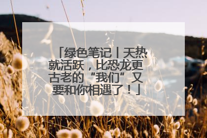 绿色笔记丨天热就活跃，比恐龙更古老的“我们”又要和你相遇了！