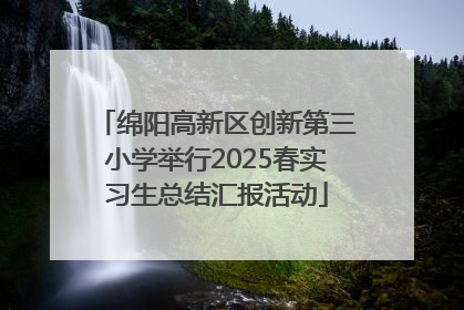 绵阳高新区创新第三小学举行2025春实习生总结汇报活动
