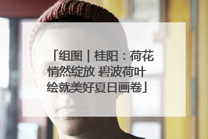组图｜桂阳：荷花悄然绽放 碧波荷叶绘就美好夏日画卷