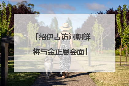 绍伊古访问朝鲜 将与金正恩会面