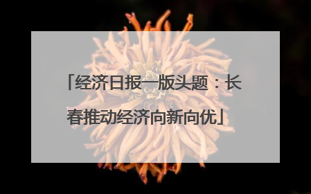 经济日报一版头题：长春推动经济向新向优