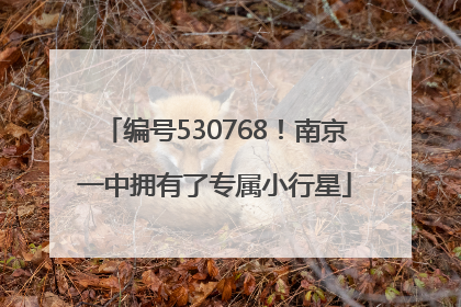 编号530768！南京一中拥有了专属小行星