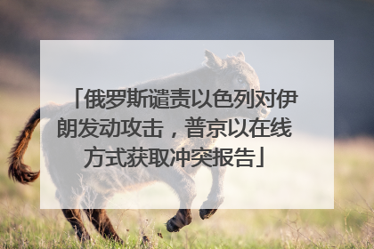 俄罗斯谴责以色列对伊朗发动攻击，普京以在线方式获取冲突报告