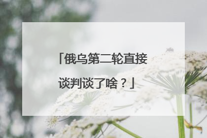 俄乌第二轮直接谈判谈了啥？