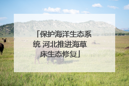 保护海洋生态系统 河北推进海草床生态修复