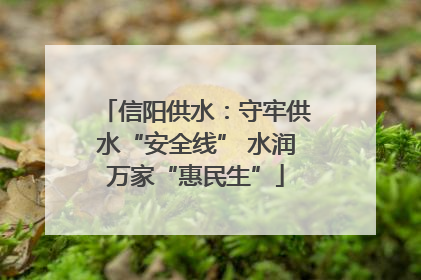 信阳供水：守牢供水“安全线” 水润万家“惠民生”