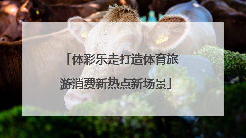 体彩乐走打造体育旅游消费新热点新场景