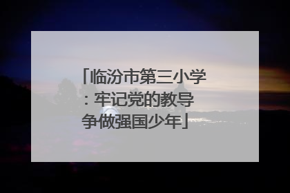 临汾市第三小学：牢记党的教导 争做强国少年