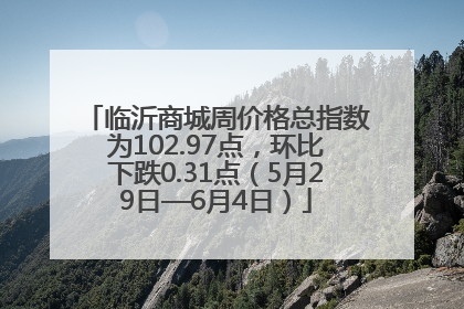 临沂商城周价格总指数为102.97点，环比下跌0.31点（5月29日—6月4日）