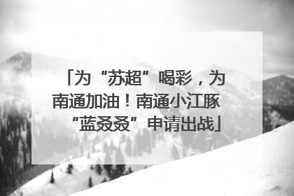为“苏超”喝彩，为南通加油！南通小江豚“蓝叒叒”申请出战