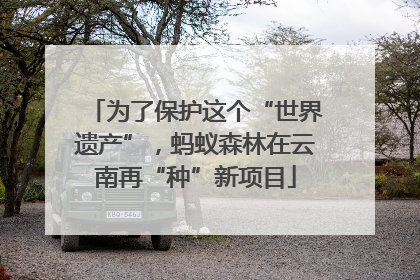 为了保护这个“世界遗产”，蚂蚁森林在云南再“种”新项目