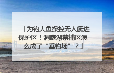 为钓大鱼操控无人艇进保护区！洞庭湖禁捕区怎么成了“垂钓场”？