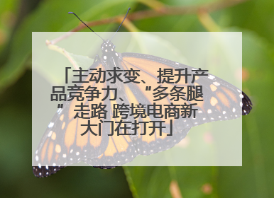 主动求变、提升产品竞争力、“多条腿”走路 跨境电商新大门在打开