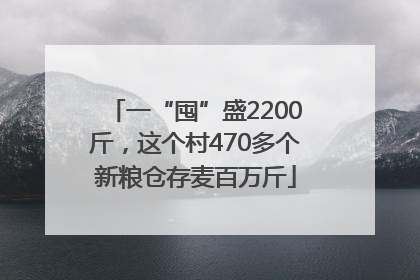 一“囤”盛2200斤，这个村470多个新粮仓存麦百万斤