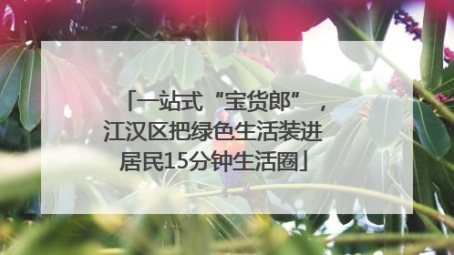 一站式“宝货郎”，江汉区把绿色生活装进居民15分钟生活圈