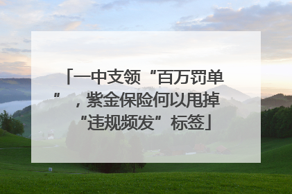 一中支领“百万罚单”，紫金保险何以甩掉“违规频发”标签
