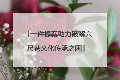 一件提案助力破解六尺巷文化传承之困