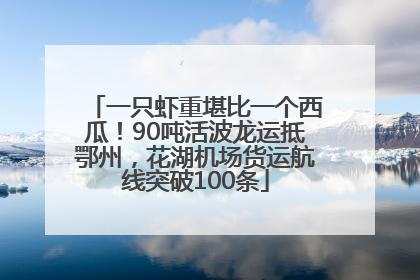 一只虾重堪比一个西瓜！90吨活波龙运抵鄂州，花湖机场货运航线突破100条