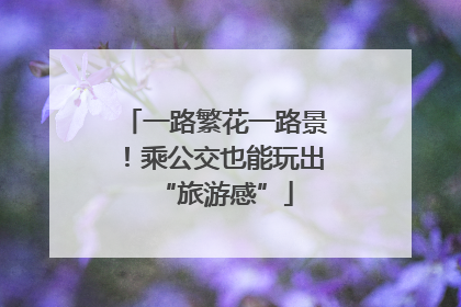 一路繁花一路景！乘公交也能玩出“旅游感”