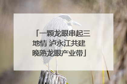 一颗龙眼串起三地情 泸永江共建晚熟龙眼产业带