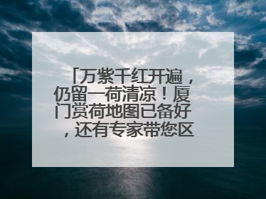 万紫千红开遍，仍留一荷清凉！厦门赏荷地图已备好，还有专家带您区分荷与莲→