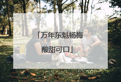 万年东魁杨梅 酸甜可口