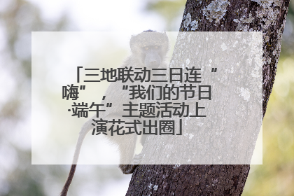三地联动三日连“嗨”，“我们的节日·端午”主题活动上演花式出圈