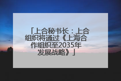 上合秘书长：上合组织将通过《上海合作组织至2035年发展战略》