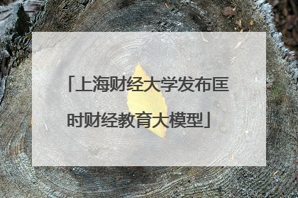上海财经大学发布匡时财经教育大模型