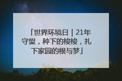 世界环境日｜21年守望，种下的梭梭，扎下家园的根与梦
