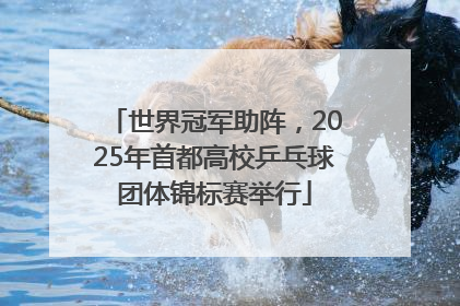 世界冠军助阵，2025年首都高校乒乓球团体锦标赛举行