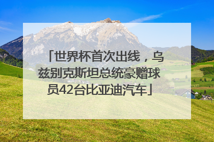 世界杯首次出线，乌兹别克斯坦总统豪赠球员42台比亚迪汽车