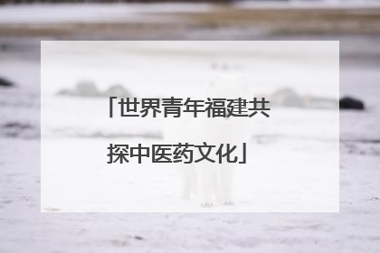 世界青年福建共探中医药文化